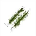 Set de 2 bucati riguri camuflate pentru pescuit, Regal Fish, fir textil vegetatie, 20 cm, carlig marime 6